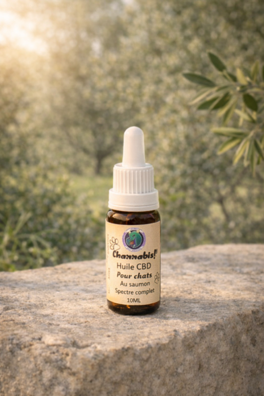 Huile pour chats au CBD et saumon Channabis - spectre complet - production française