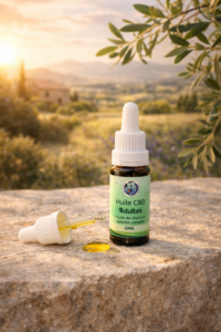 Lire la suite à propos de l’article Les propriétés et bienfaits du CBD : guide complet