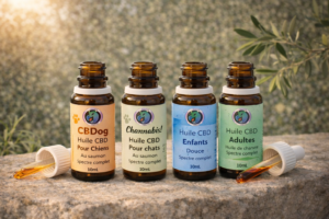 Lire la suite à propos de l’article Comment choisir son huile CBD : guide complet 2026
