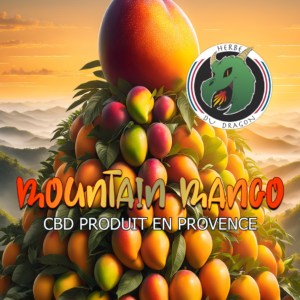 Mountain mango