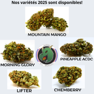 Pack dégustation 5 variétés 2025