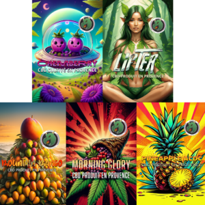 Pack dégustation 5 variétés 2025