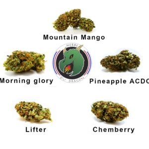 Pack dégustation CBD 5 variétés 2025