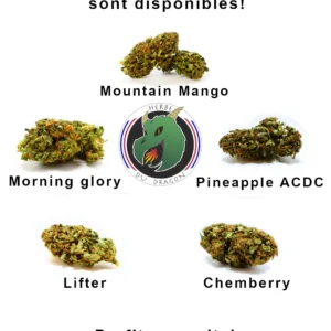 Pack dégustation CBD 5 variétés 2025