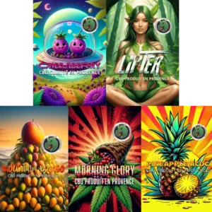 Pack dégustation CBD 5 variétés 2025