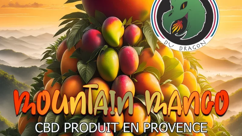 Pochette CBD mountain mango