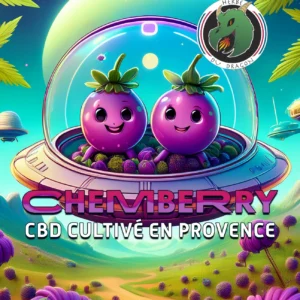 Chemberry CBD