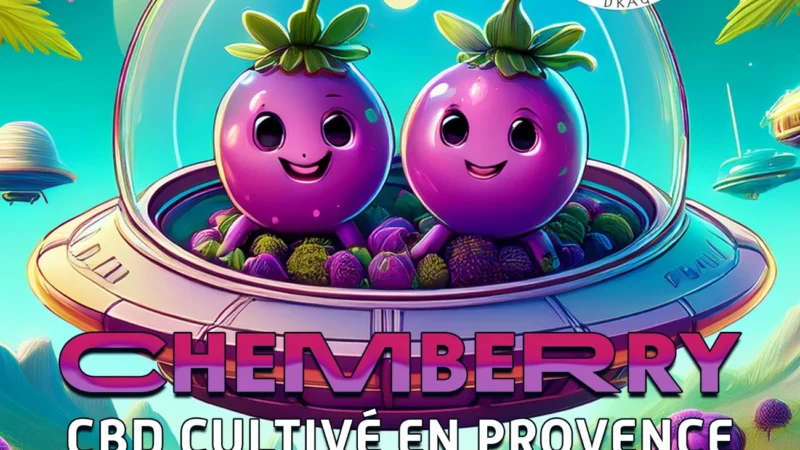 Pochette CBD chemberry