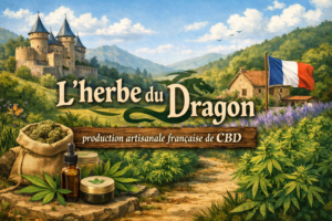 Lire la suite à propos de l’article L&rsquo;histoire du dragon