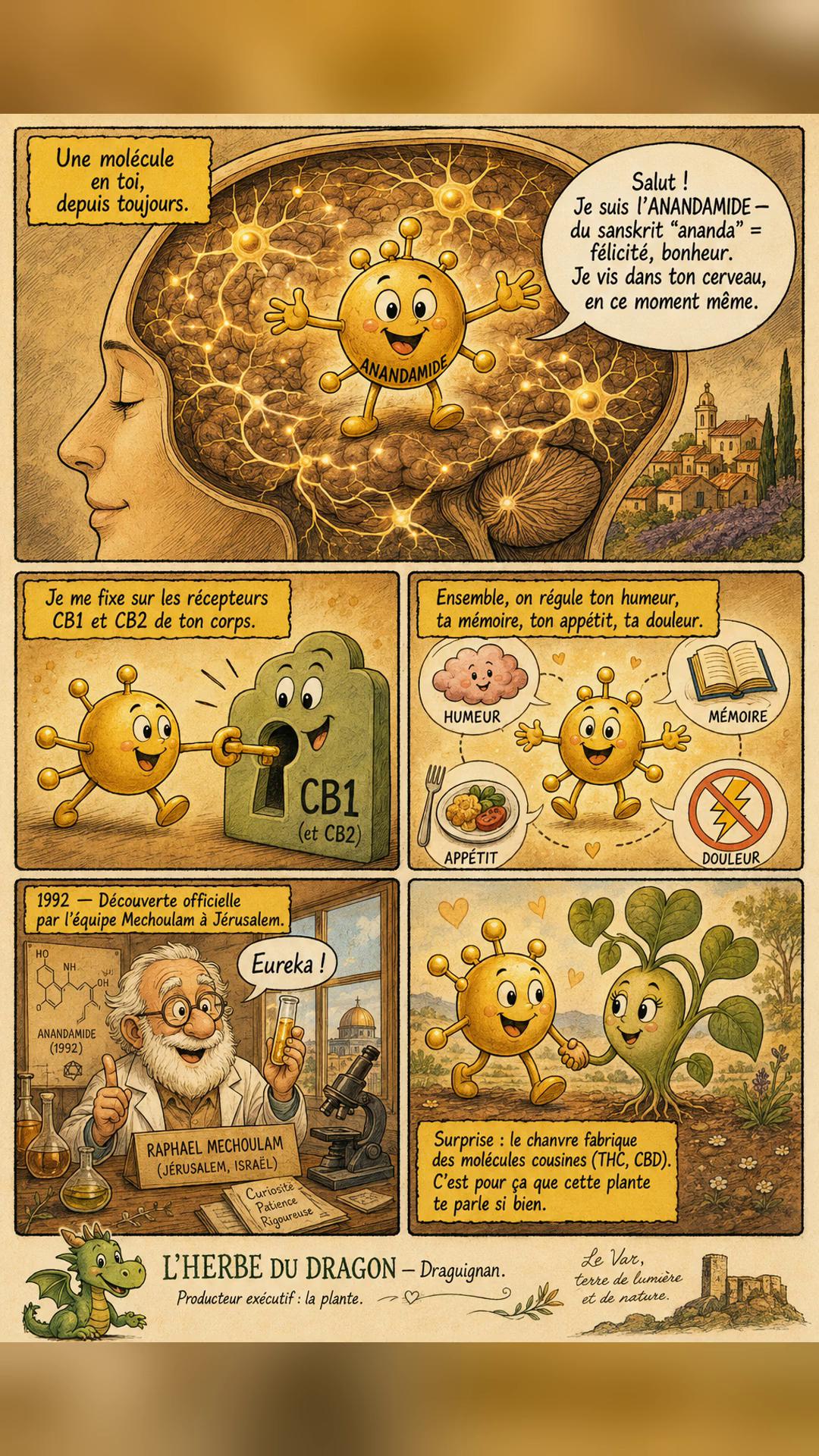 Bande dessinée expliquant l'anandamide : molécule, récepteurs CB1/CB2, découverte par l'équipe Mechoulam en 1992